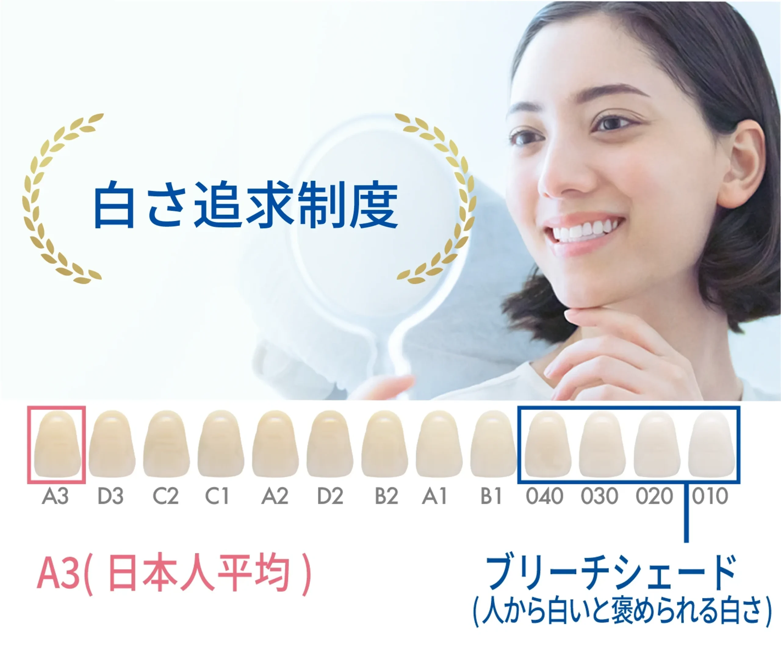 白さ追求制度説明