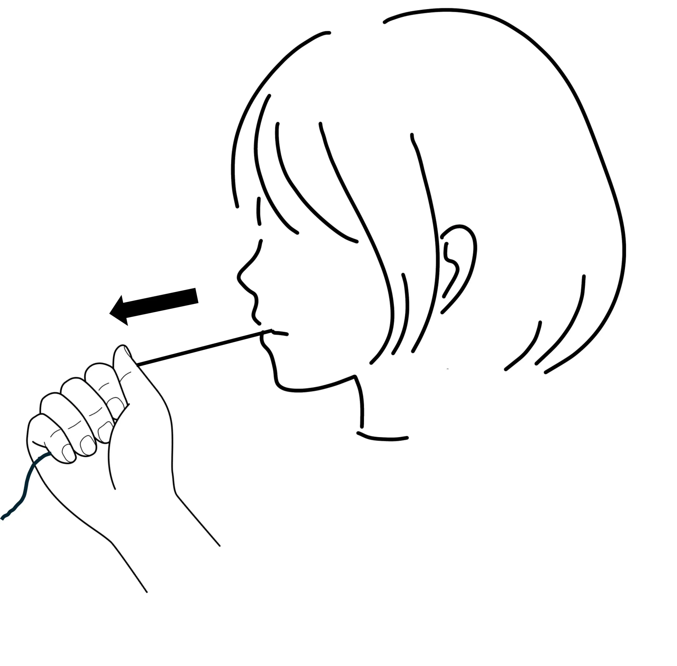 ボタンプル