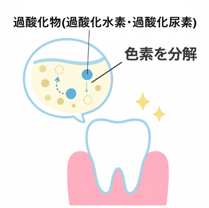過酸化物が色素を分解