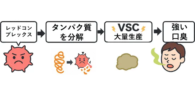 レッドコンプレックスと口臭
