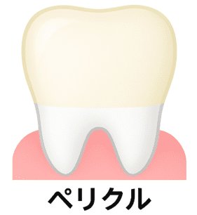 ペリクル